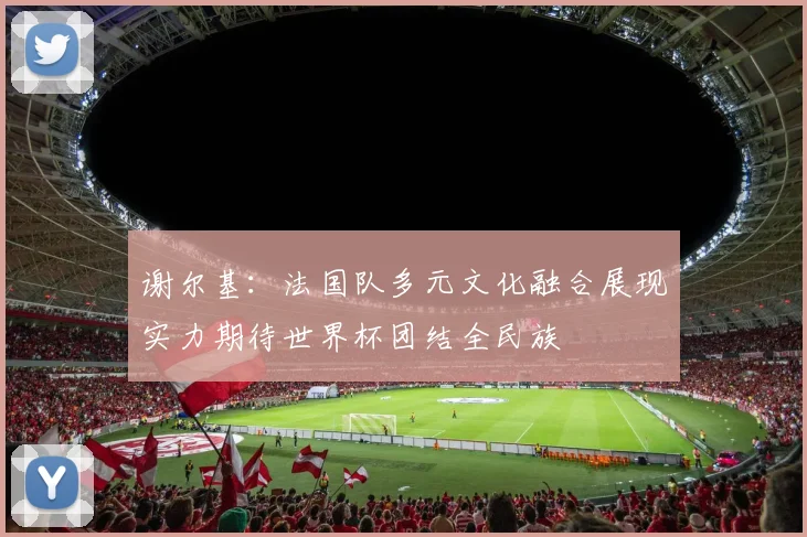 谢尔基：法国队多元文化融合展现实力期待世界杯团结全民族